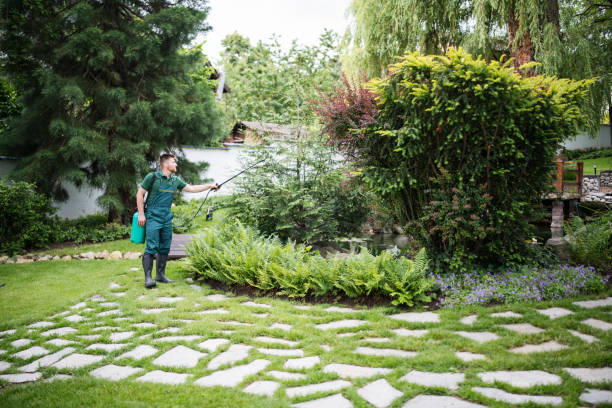 Best Residential Pest Control  in Navassa, NC