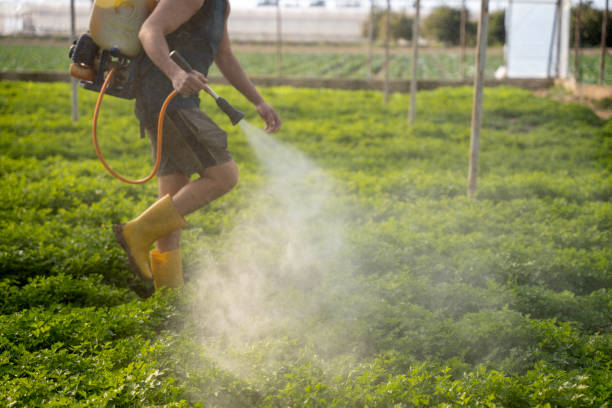 Best Pest Inspection Near Me  in Navassa, NC