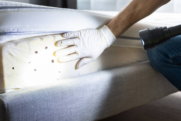 Best Commercial Pest Control Services  in Navassa, NC