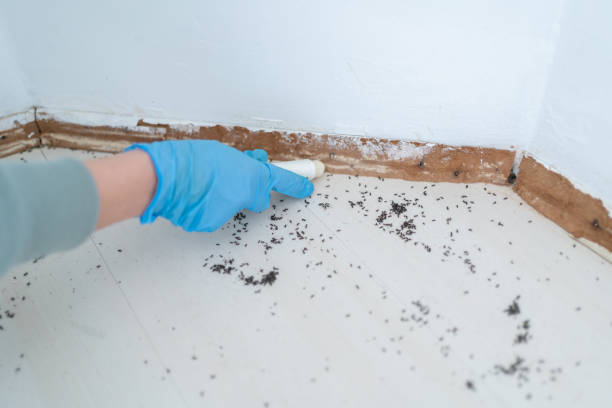 Best Pest Removal Services  in Navassa, NC