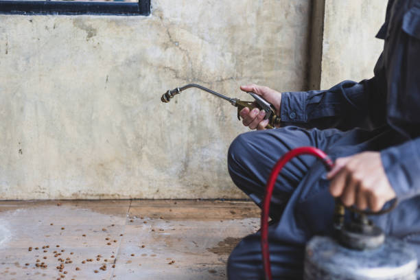 Best Termite Control Services  in Navassa, NC